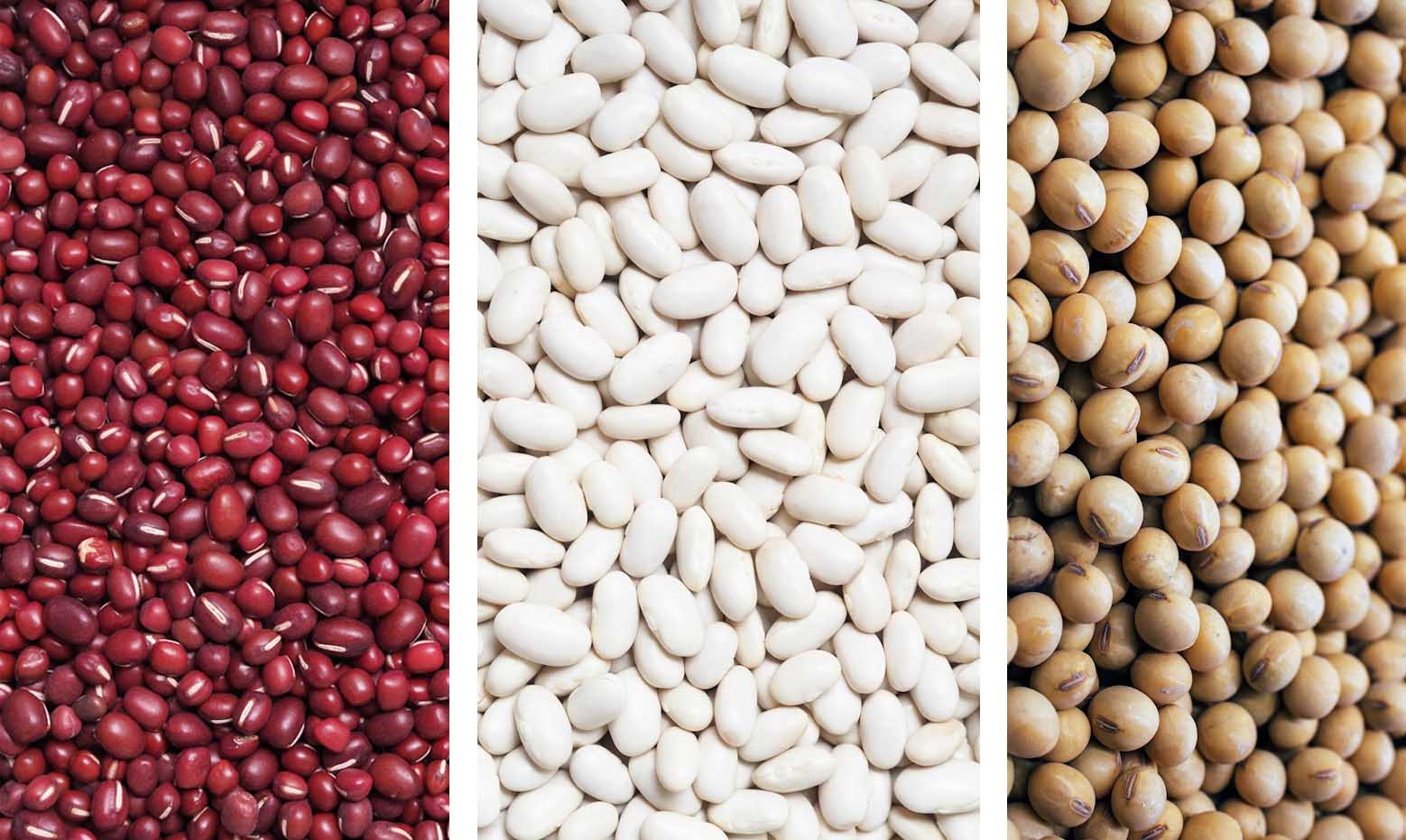 Beans are suitable for color sorting. The beans in the picture are green, white, and yellow. Optical sensors can easily distinguish their colors.