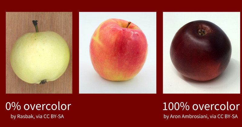 Apples can display different colors depending on factors such as ripeness, age, and crop load. They can be sorted by color.