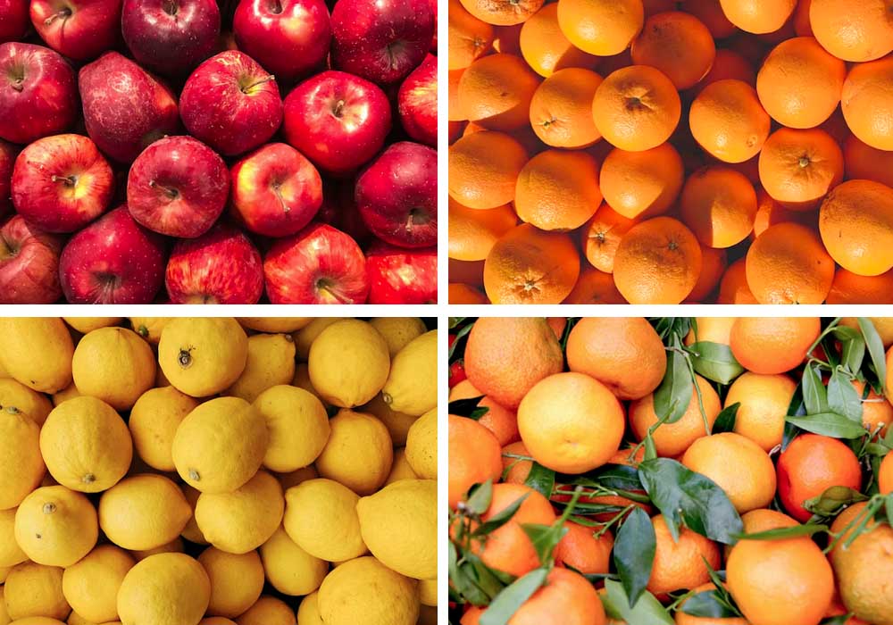 Picture shows various fruits being sorted by color and quality.