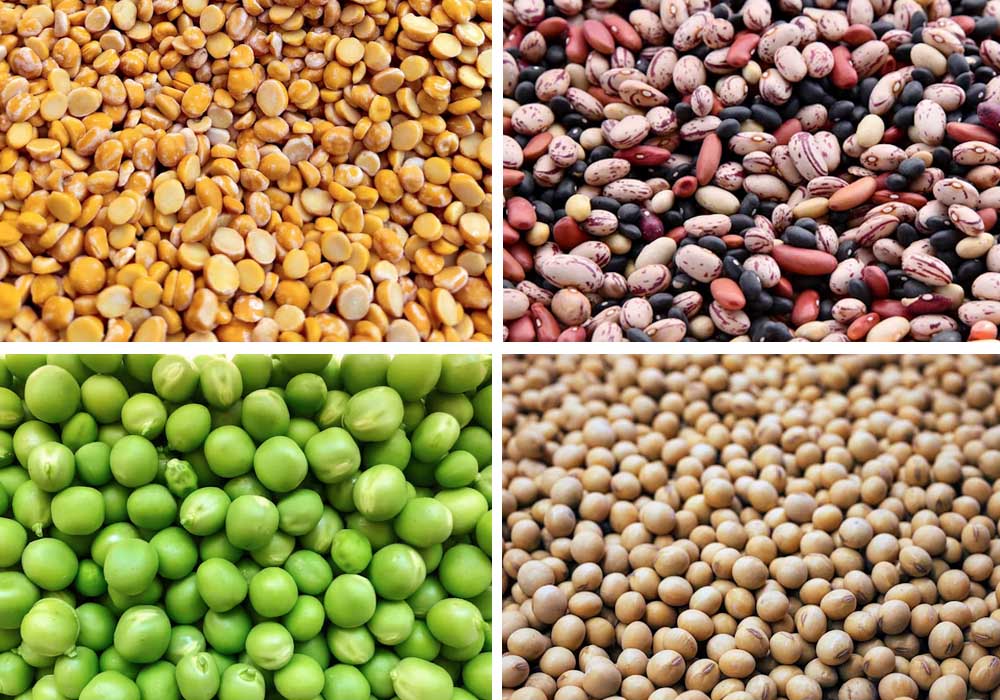 Picture shows various pulses and legumes including lentils, beans, peas and soybeans.