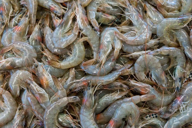 Shrimp in baskets are being sold at the seafood market.