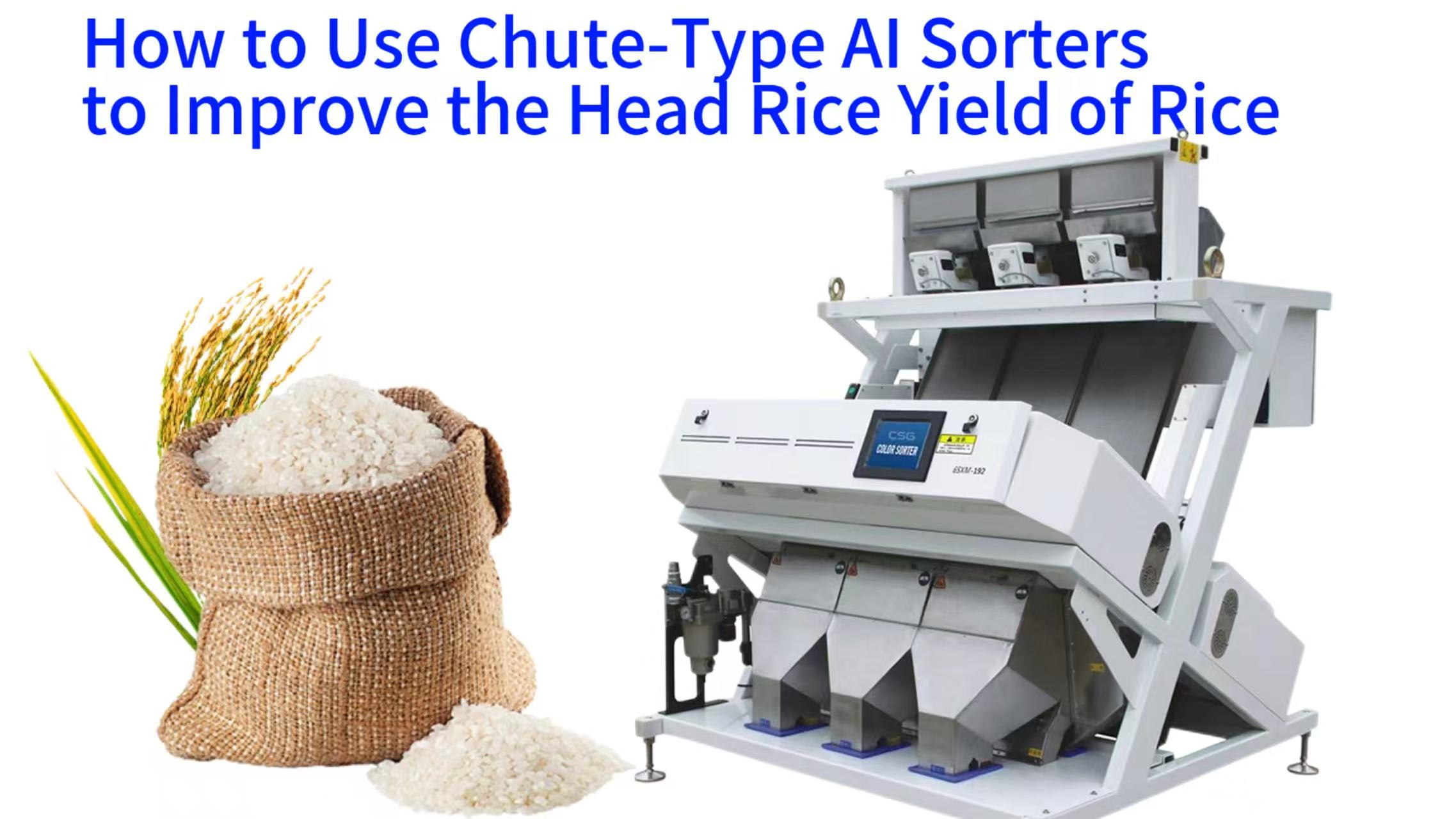 How to Use Chute-Type AI Sorters to Improve the Head Rice Yield of Rice