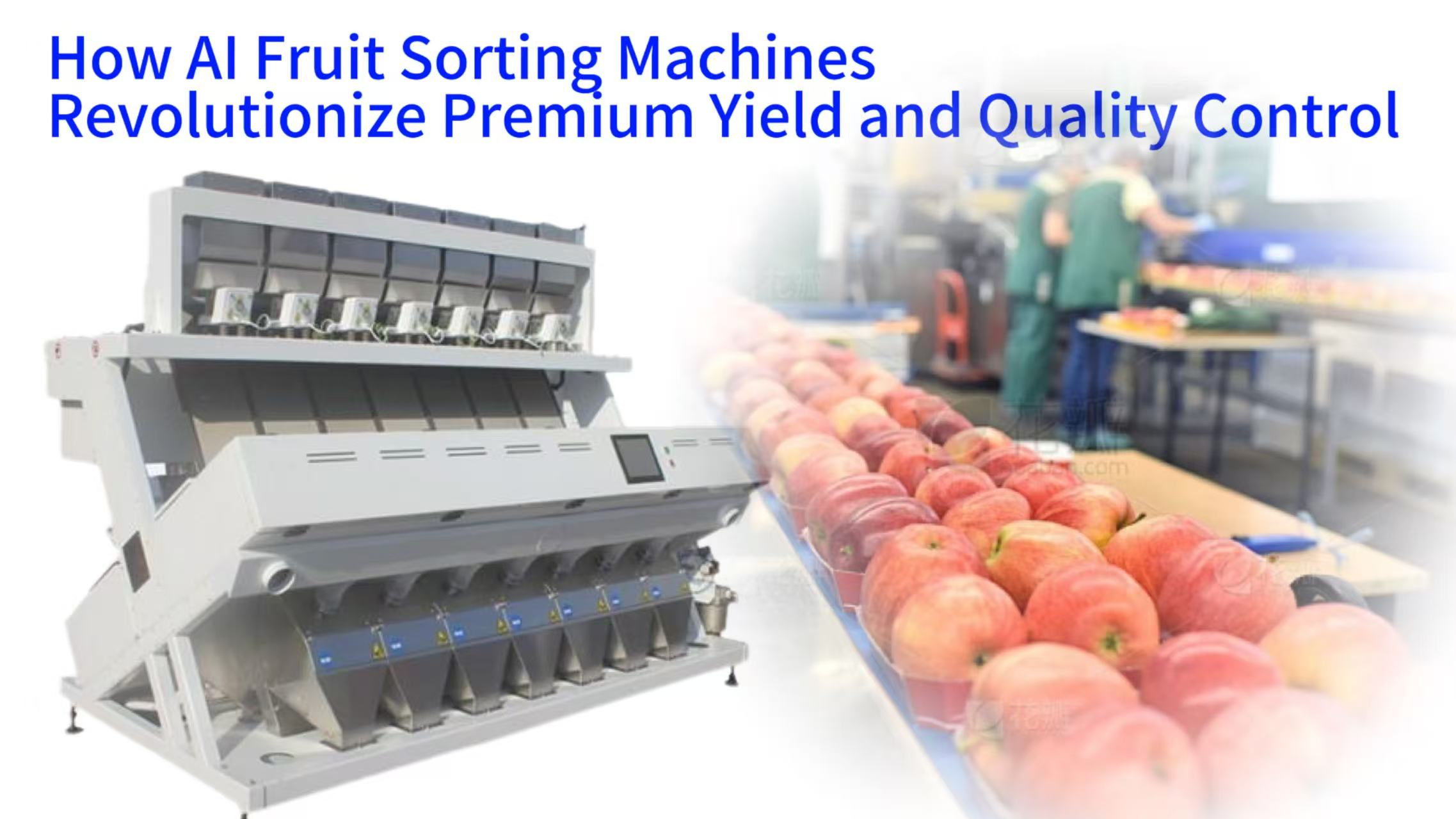How AI Fruit Sorting Machines Revolutionize Premium Yield and Quality Control