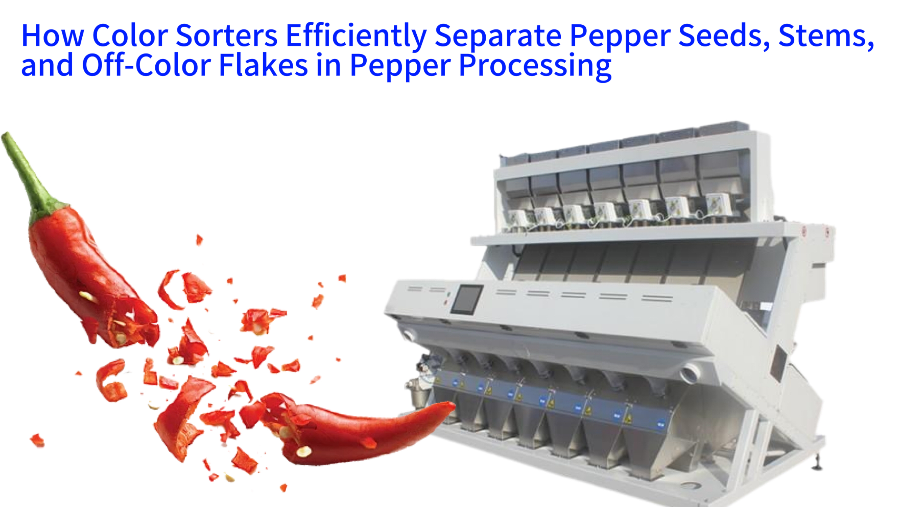 How Color Sorters Efficiently Separate Pepper Seeds, Stems, and Off-Color Flakes in Pepper Processing