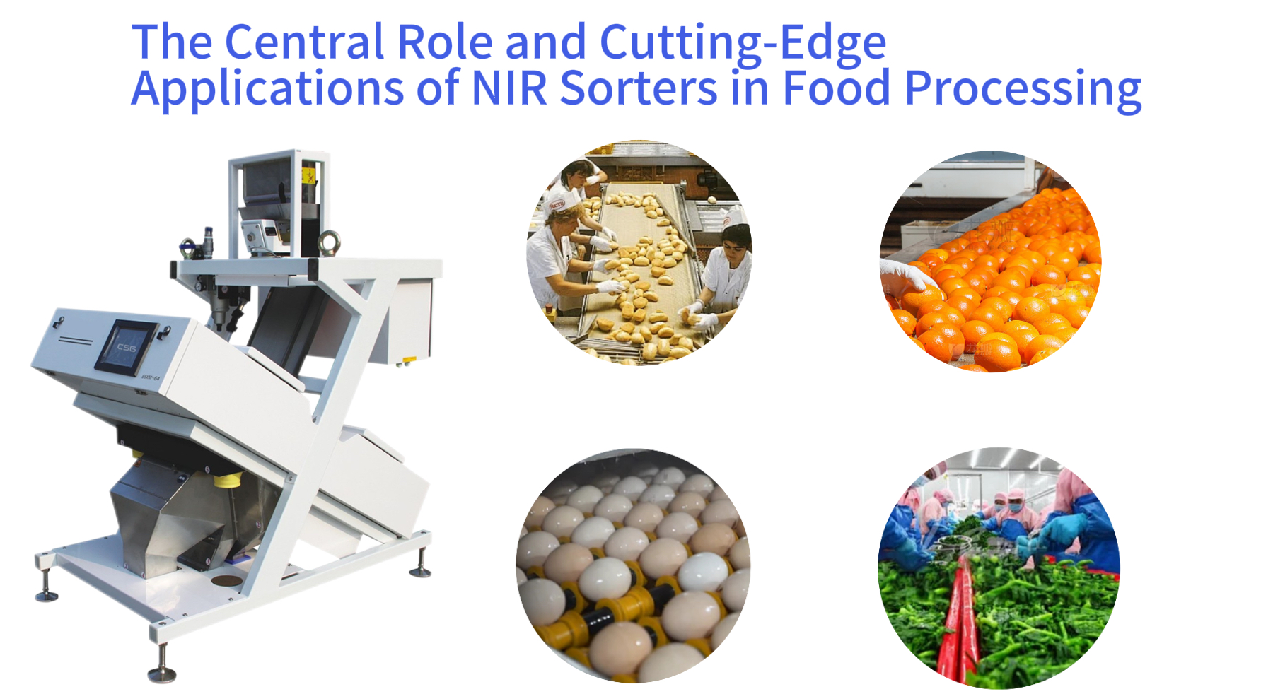 The Central Role and Cutting-Edge Applications of NIR Sorters in Food Processing