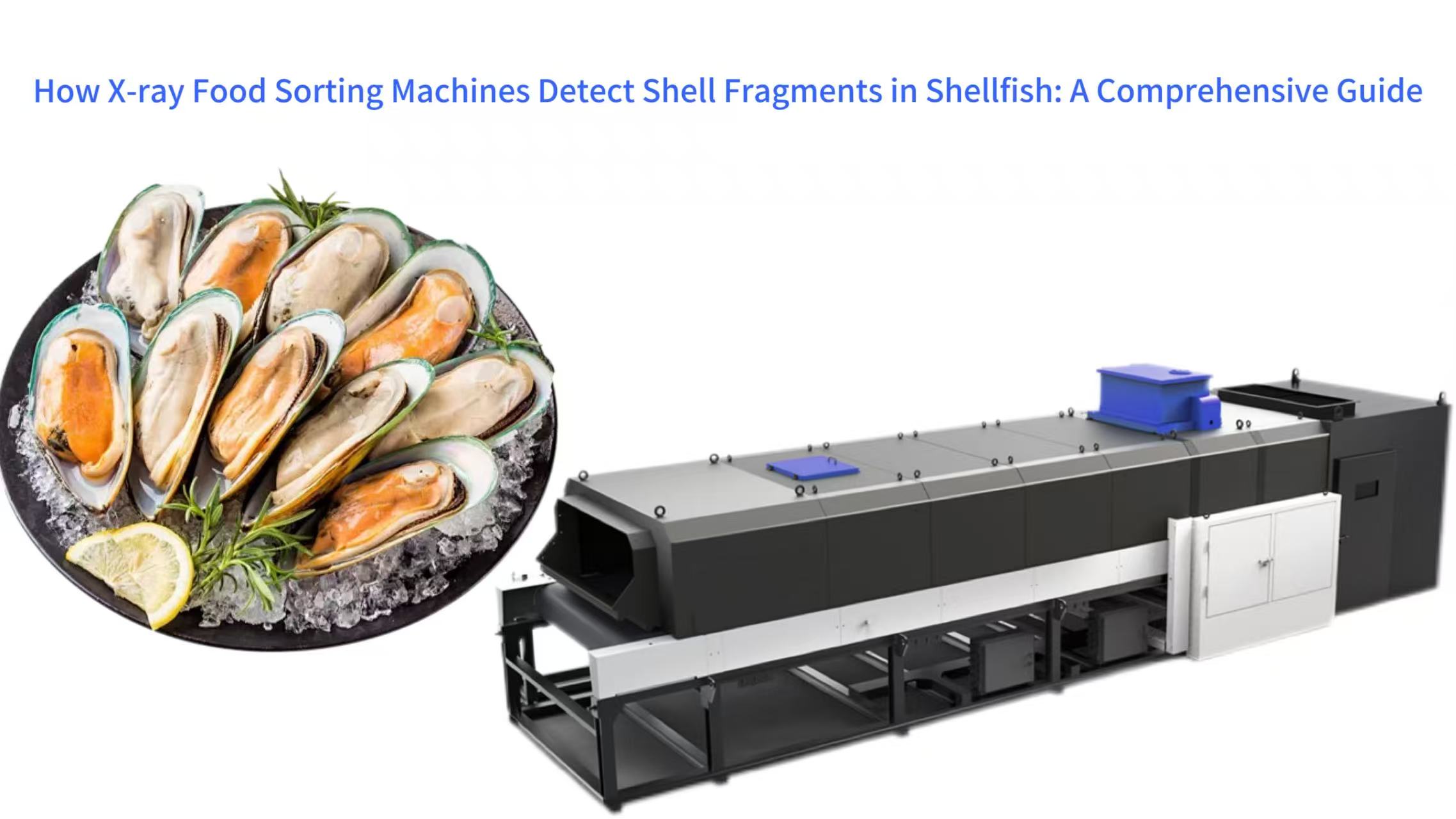 How X-ray Food Sorting Machines Detect Shell Fragments in Shellfish: A Comprehensive Guide