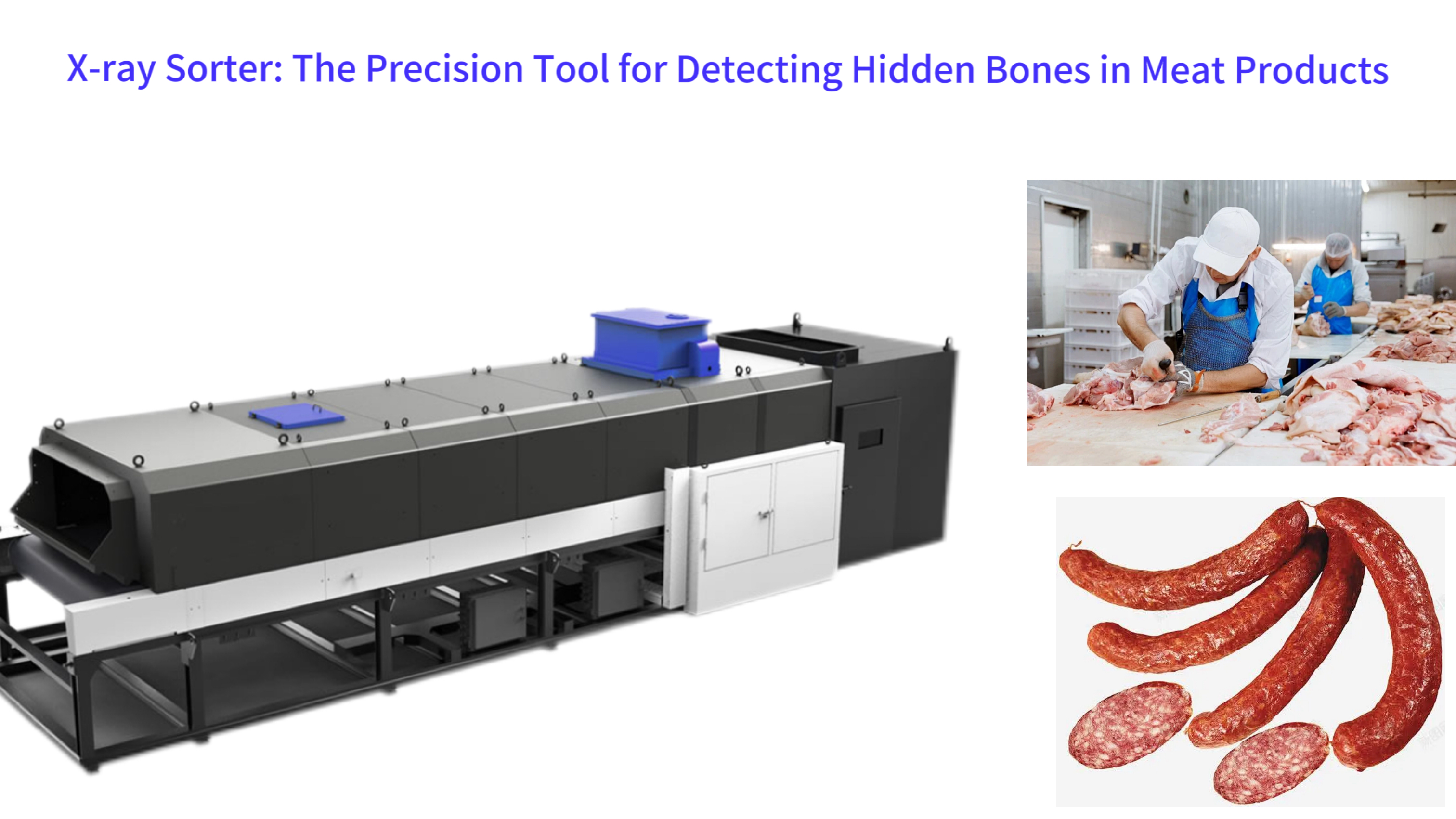 X-ray Sorter: The Precision Tool for Detecting Hidden Bones in Meat Products