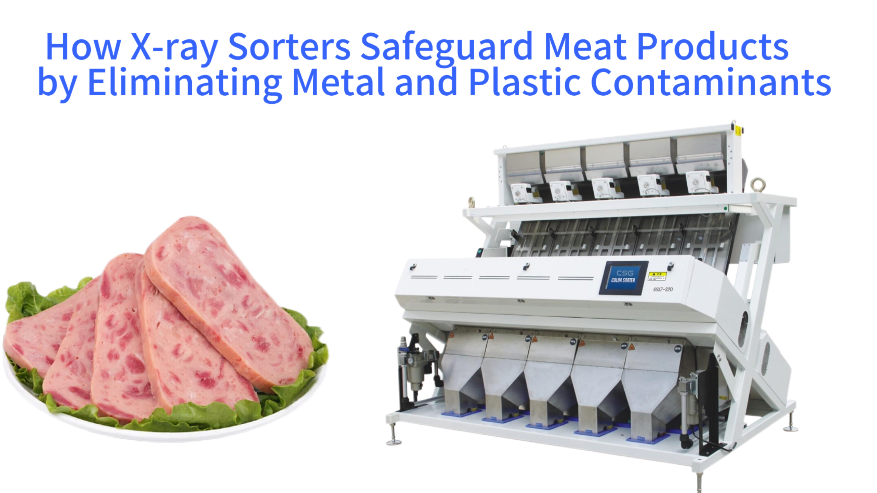 Unveiling the Invisible Shield: How X-ray Sorters Safeguard Meat Products by Eliminating Metal and Plastic Contaminants