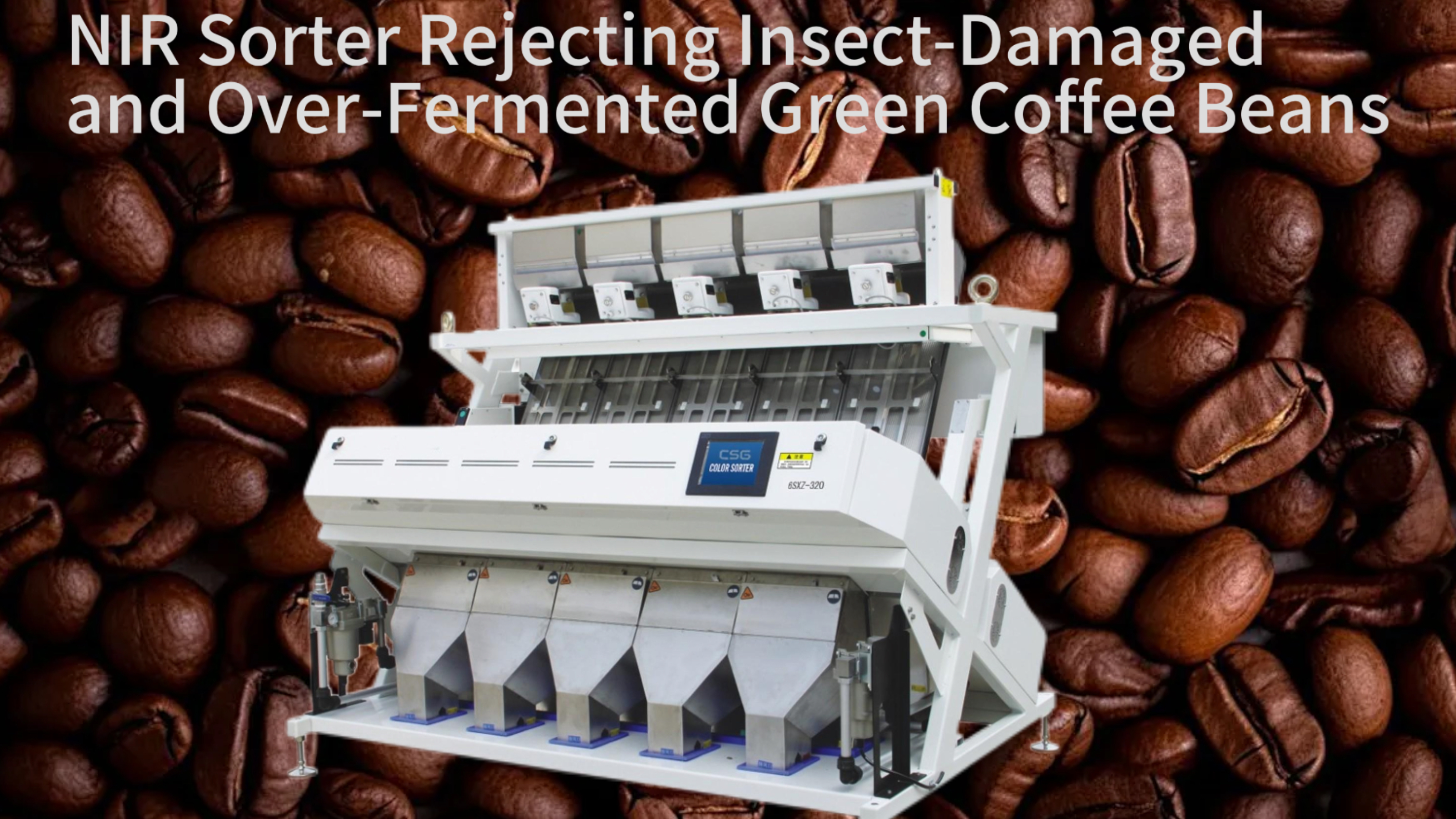 False Positive Optimization: B1200 NIR Sorter Rejecting Insect-Damaged and Over-Fermented Green Coffee Beans