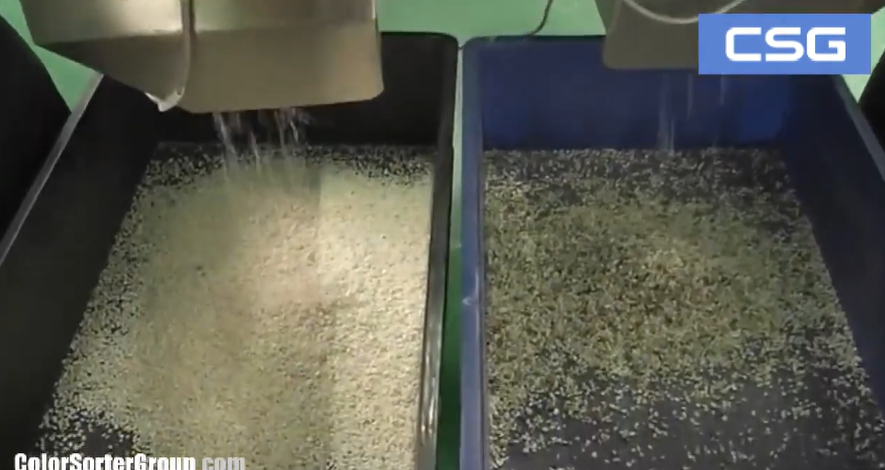 Comparison of sorted quartz versus rejected waste