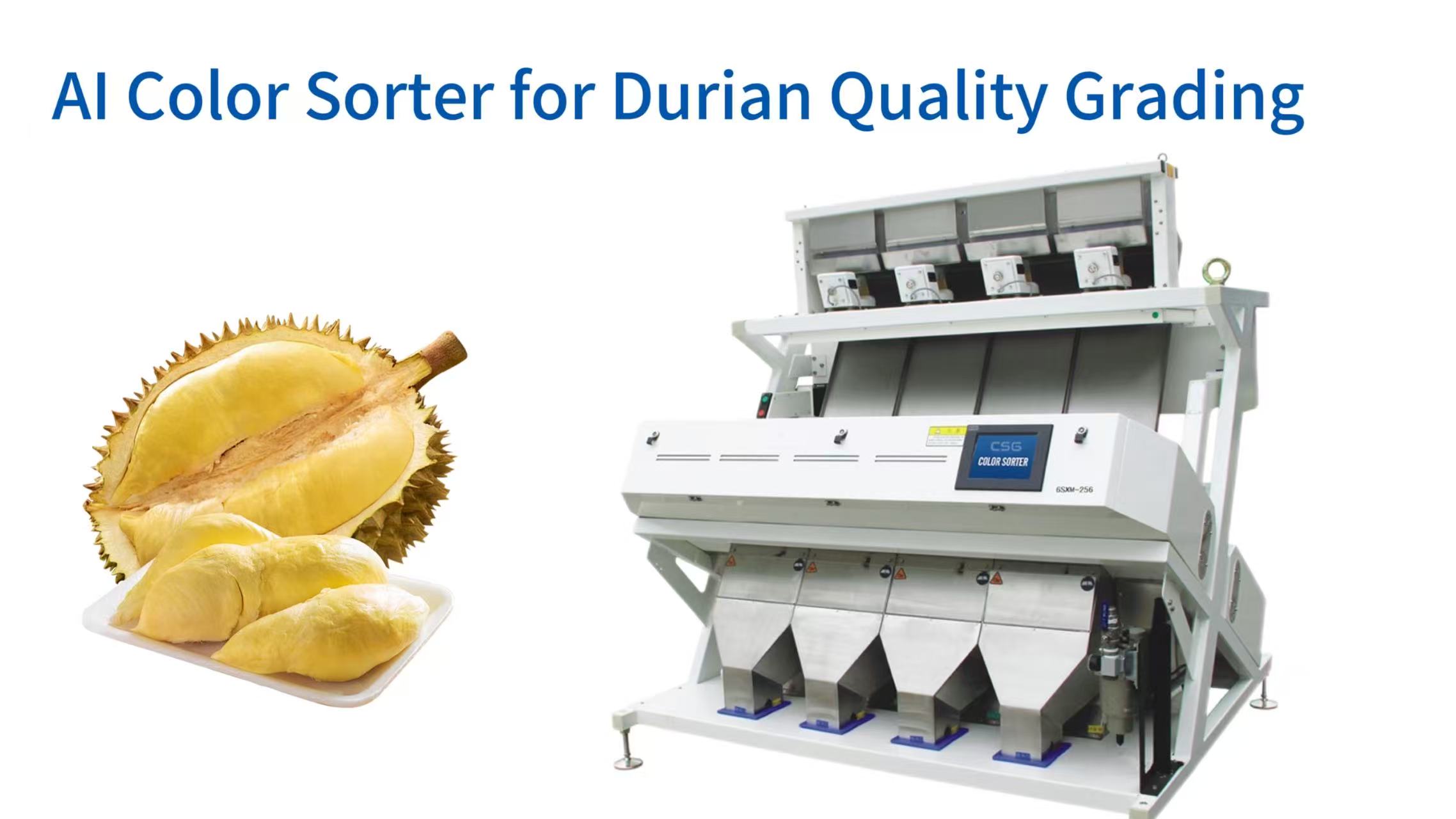 AI Color Sorter for Durian Quality Grading: From Thorn to Treasure