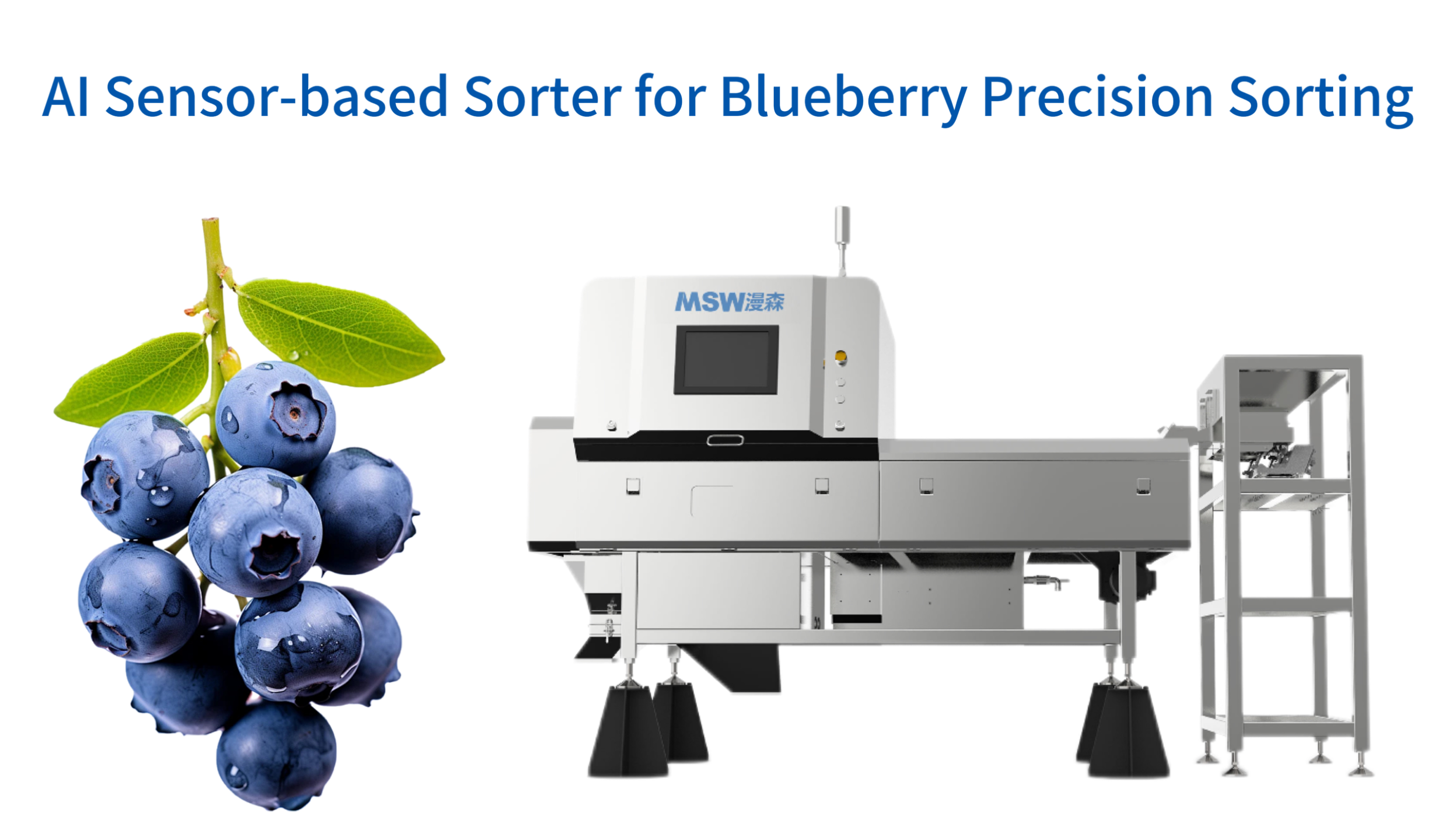 AI Sensor-based Sorter for Blueberry Precision Sorting