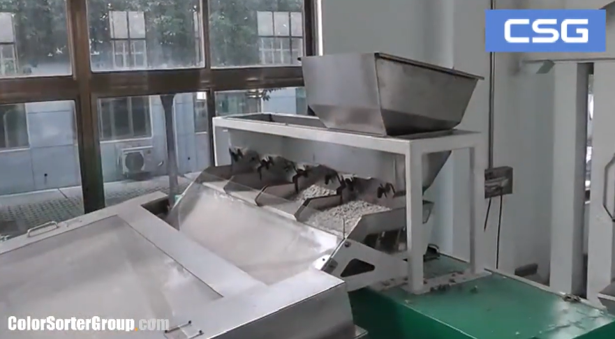 Feed inlet of the sorting machine