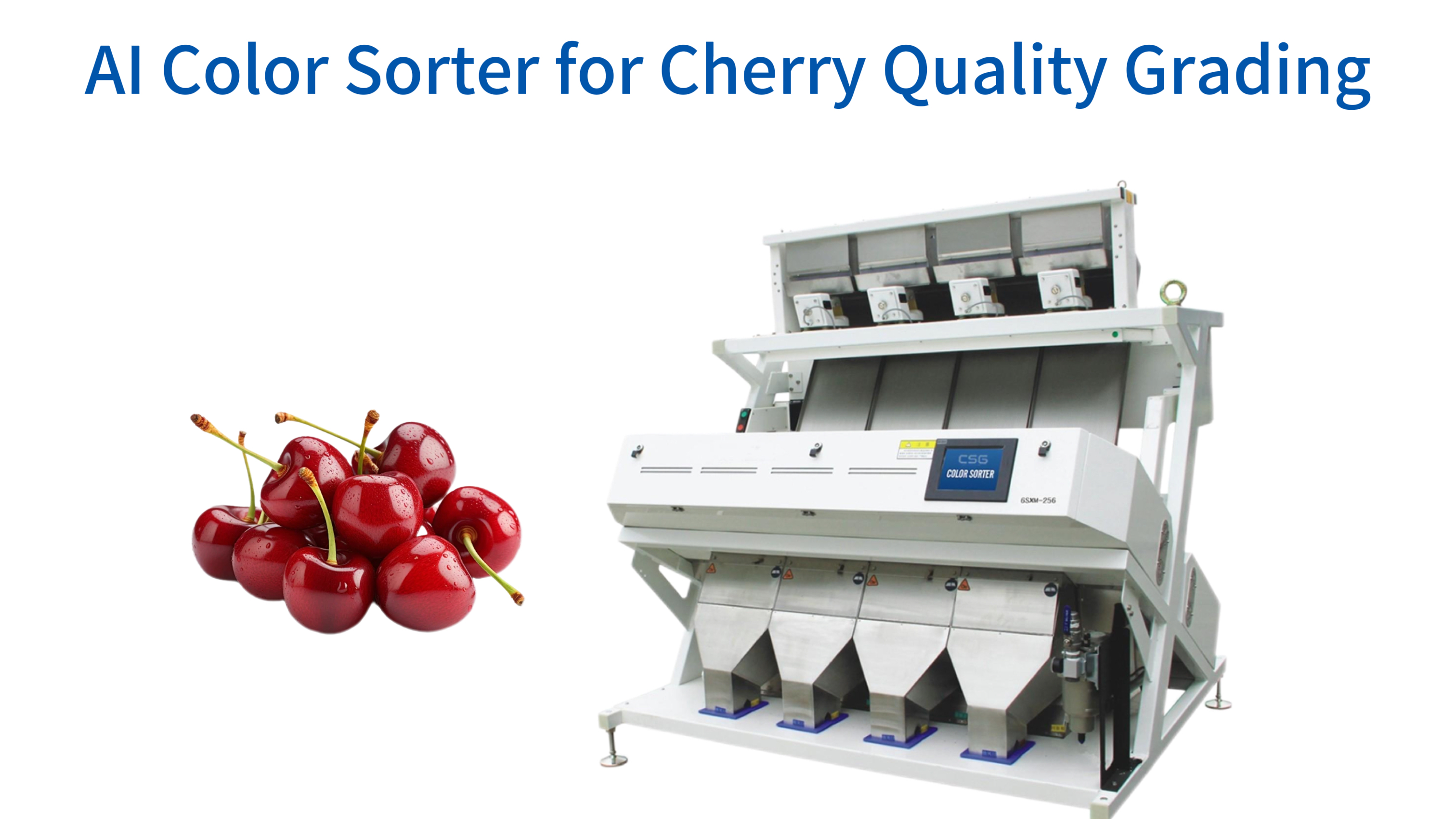 AI Color Sorter for Cherry Quality Grading: Precision Sorting for Premium Sweetness and Appearance