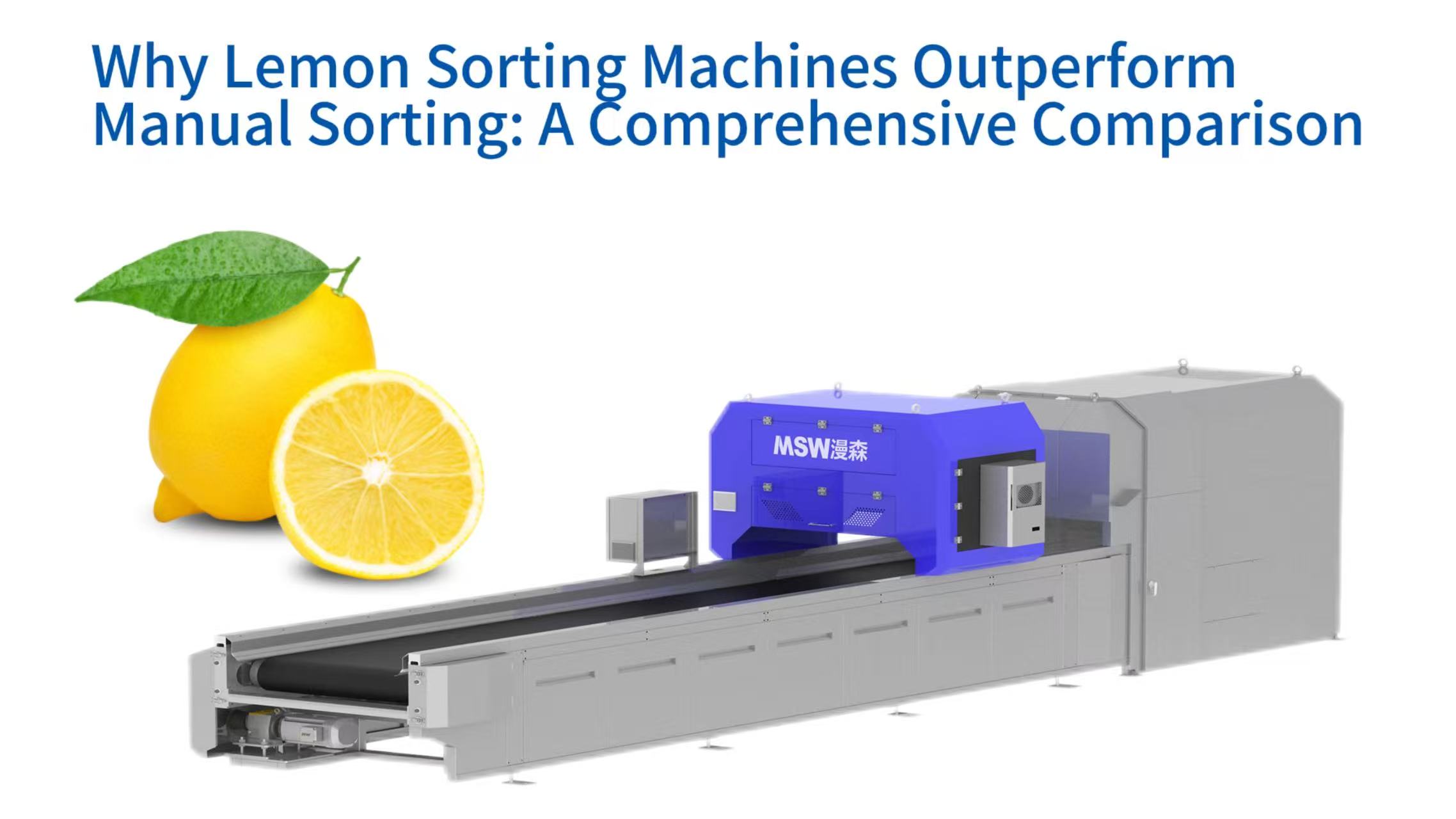 Why Lemon Sorting Machines Outperform Manual Sorting: A Comprehensive Comparison