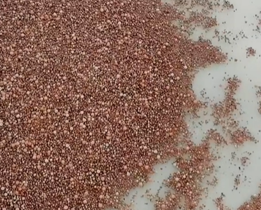 High-purity copper fraction after sorting