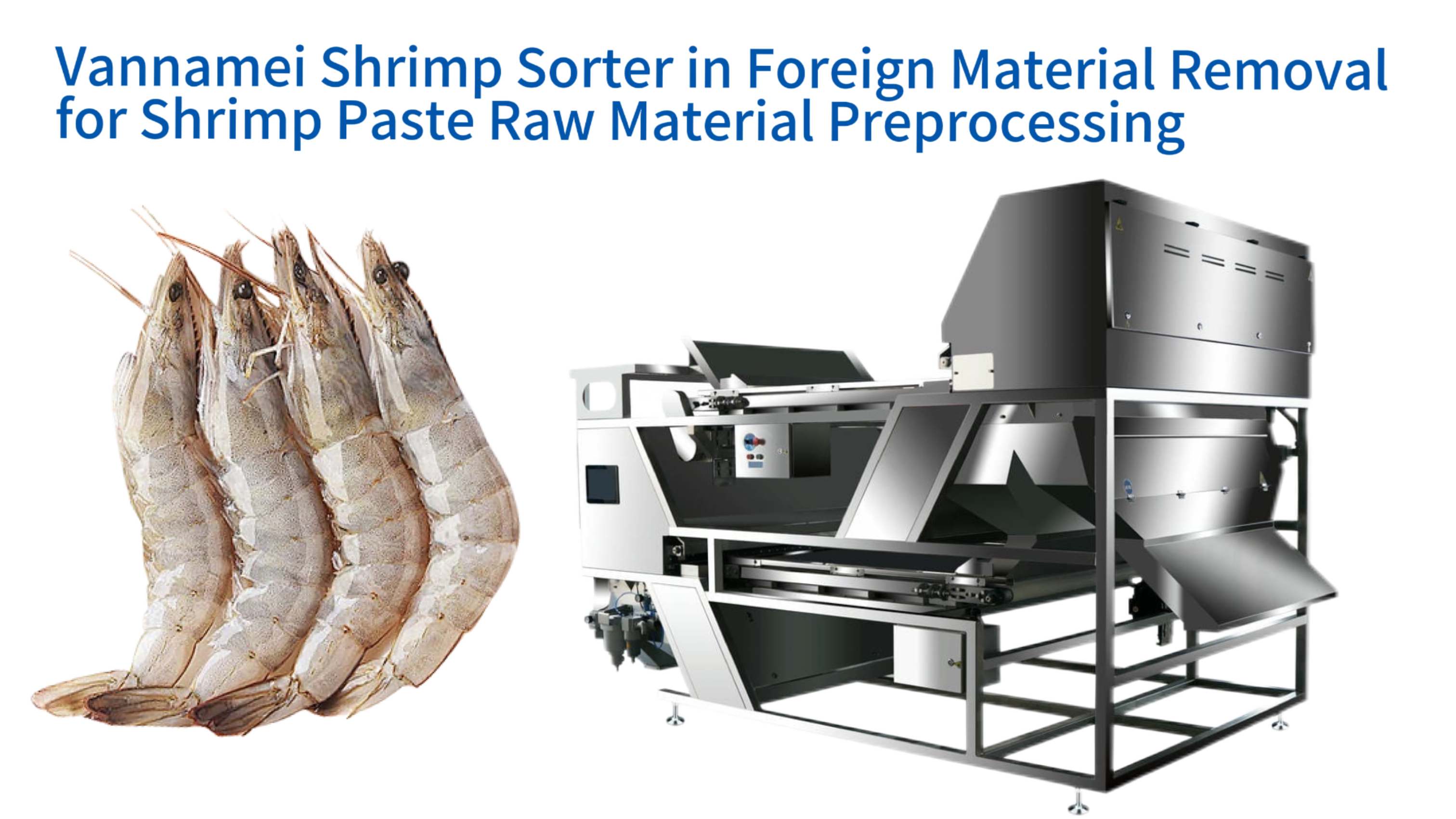 Vannamei Shrimp Sorter in Foreign Material Removal for Shrimp Paste Raw Material Preprocessing